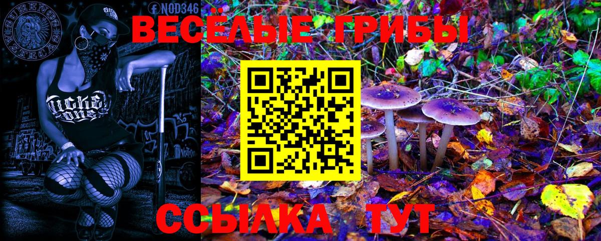 Галлюциногенные грибы Magic Shrooms Краснодар